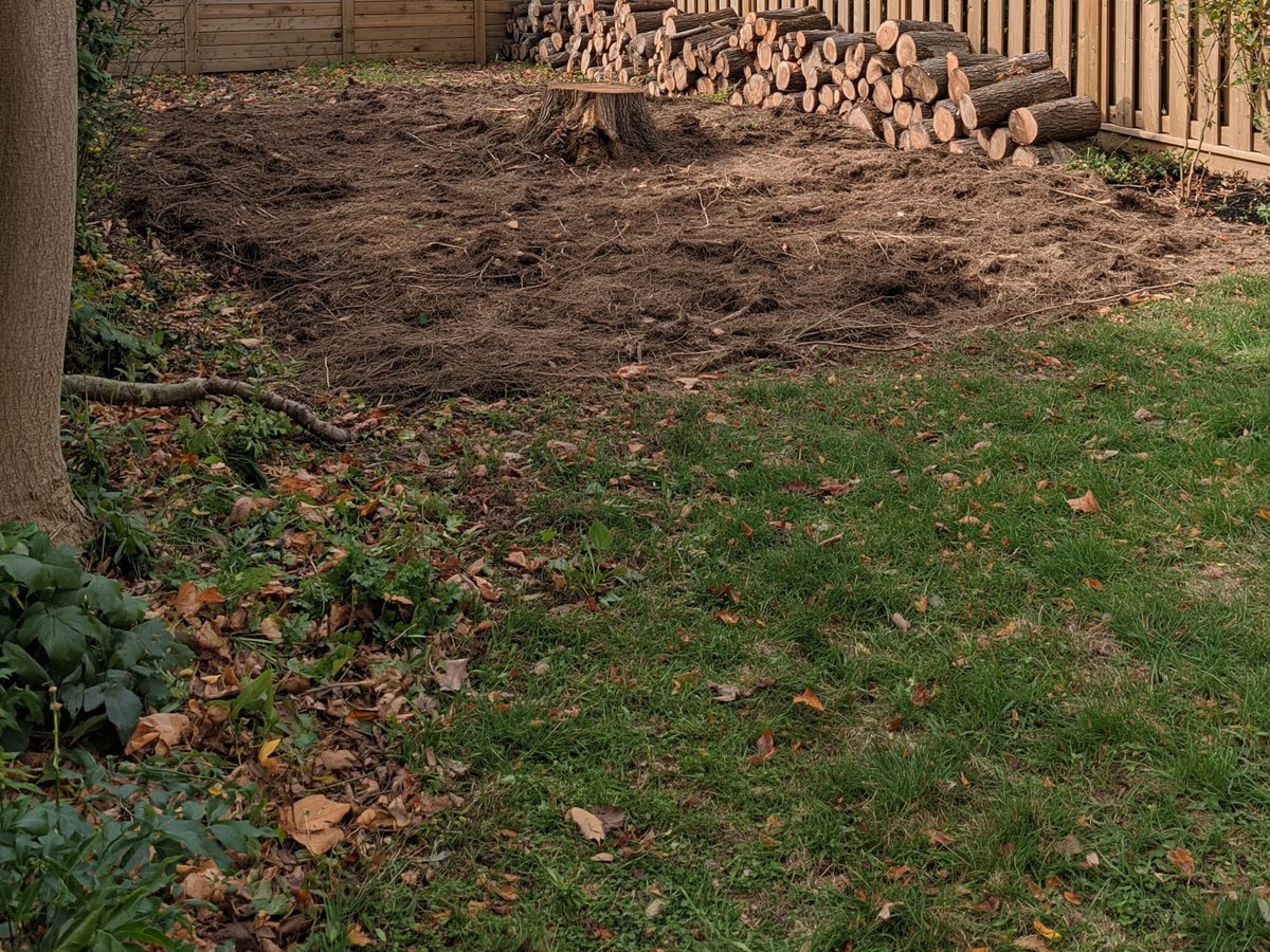 A garden corner cleared and raked flat, firewood stacked along the fence.