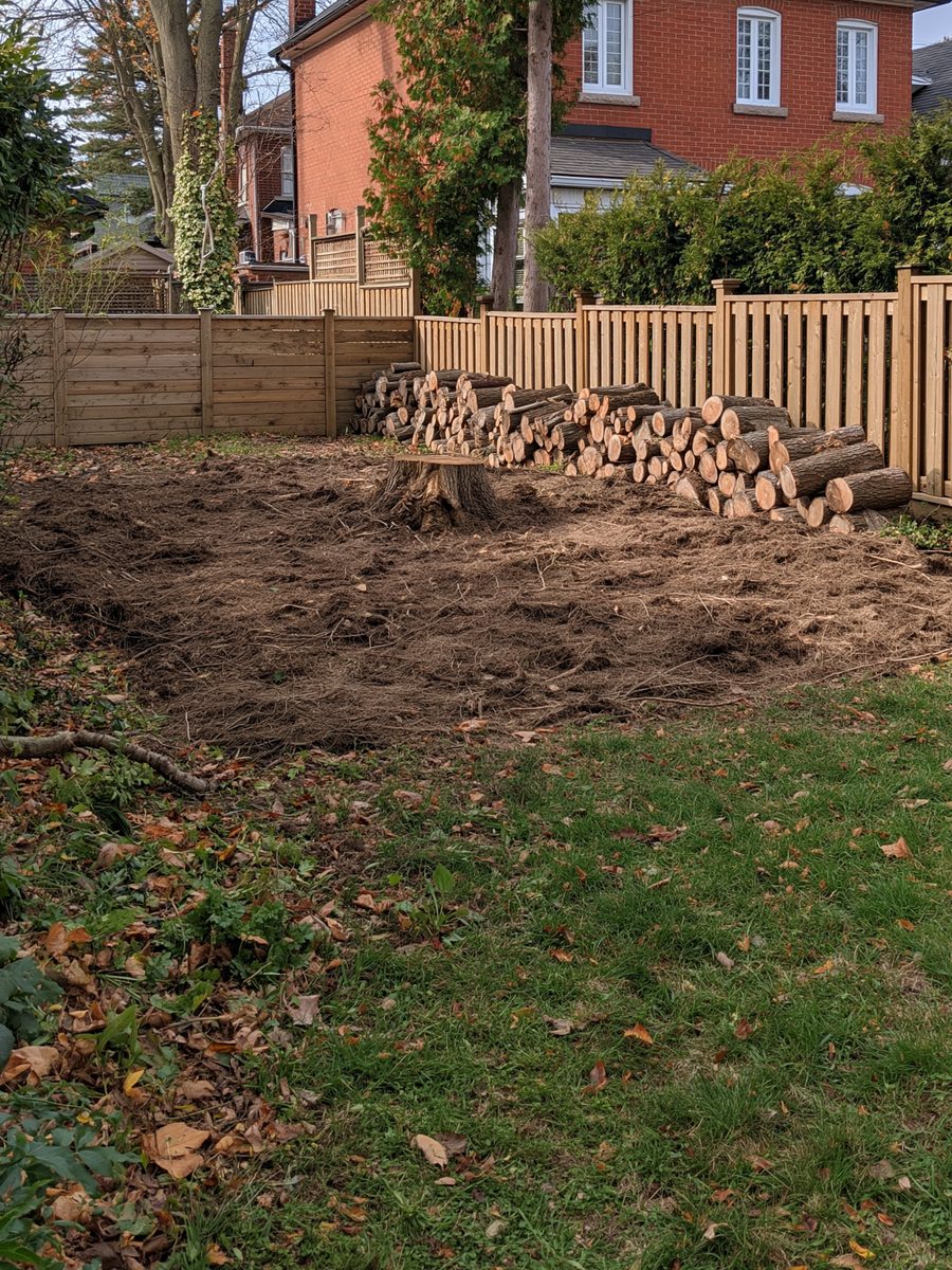 A garden corner cleared and raked flat where a stump has been ground out.